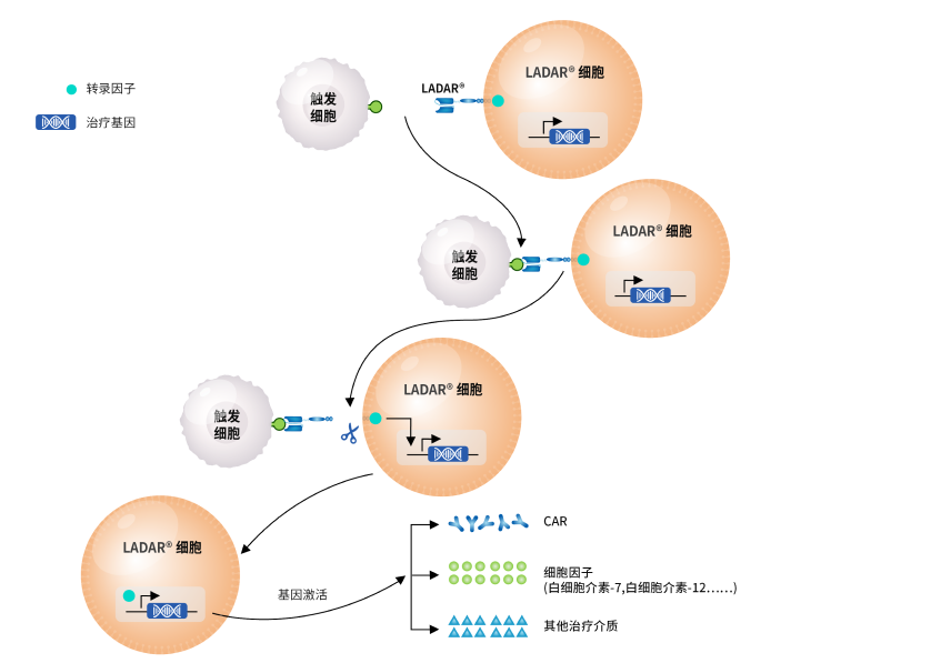 Carsgen-Image